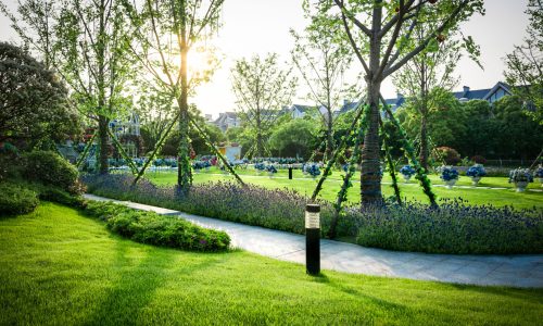 Beautiful panorama of green city park at dawn
